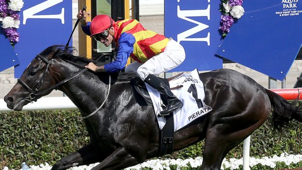 Stallion in the making: Pierata will focus on winning a group 1 rather than chasing the $13 million Everest purse.