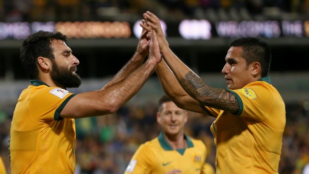 Stalwarts: Jedinak and Tim Cahill have now both called time on their international careers.