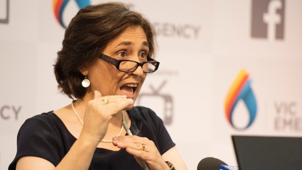 Victorian Energy Minister Lily D'Ambrosio said the state government was ensuring private power companies could not "cut and run like they did with Hazelwood".
