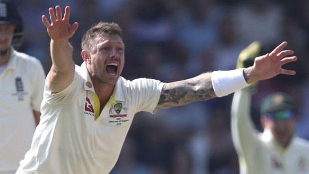 James Pattinson is set for a big summer at home despite missing out on selection for the fifth Test.