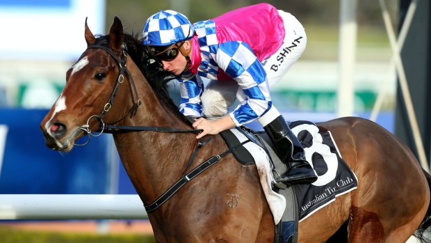 Fell Swoop has placed five times in 13 tries at group 1 level but Matthew Dale believes Friday night's William Reid Stakes could be his seven-year-old's chance to break through. 