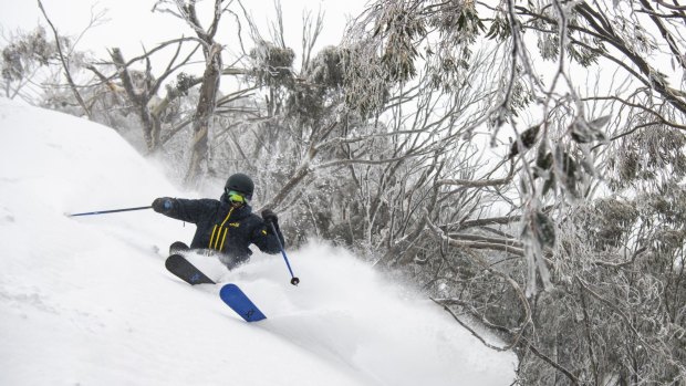 The Grollos are bullish on Mount Buller, despite the threat of less snow