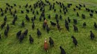 Paraway Pastoral’s vast portfolio of farms can support around 250,000 cows.