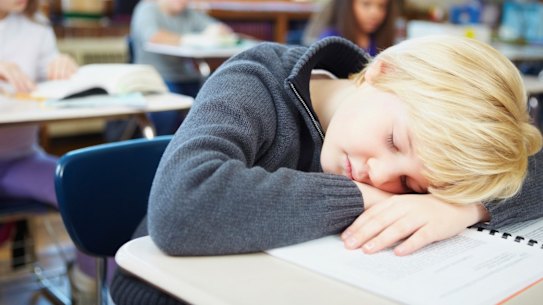 Portrait of a tired schoolboy sleeping during class.