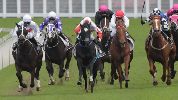 Racing returns to the Kensignton track at headquarters on Wednesday.