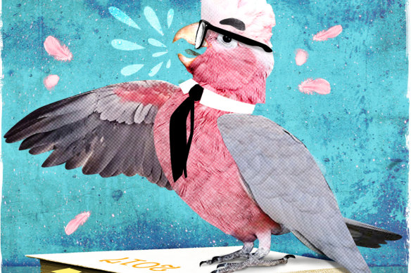 Illustration: Dionne Gain