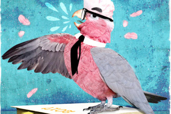 Illustration: Dionne Gain