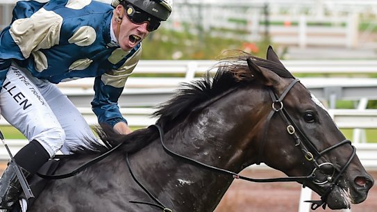 Hitotsu ridden by John Allen wins the Australian Guineas at Flemington Racecourse on March 05, 2022 in Flemington, Australia. (Reg Ryan/Racing Photos via Getty Images)