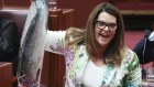 Sarah Hanson-Young in Parliament on Wednesday 