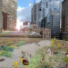 Time for a green roof revolution in Melbourne