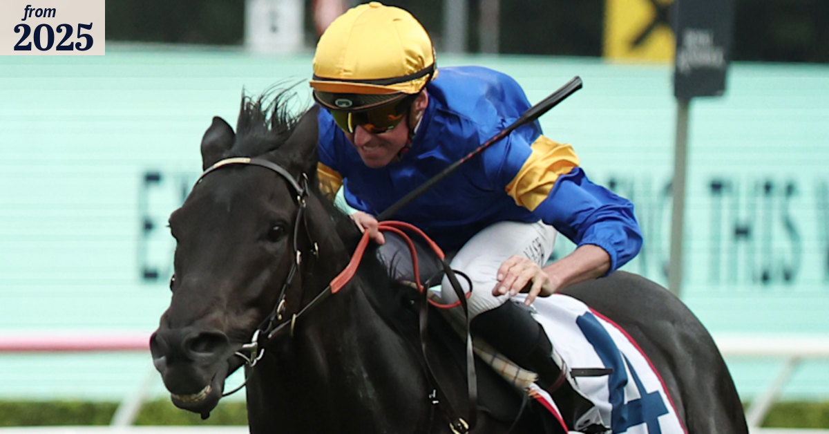Sam Freedman says mudlark Punch Lane can handle three straight ...
