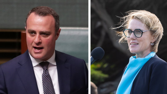 Tim Wilson and challenger Zoe Daniel.