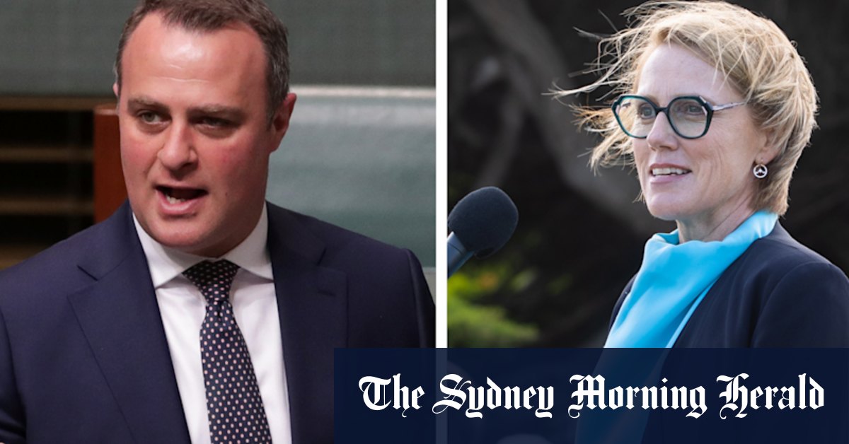 Anzac Day Victoria: 'Inappropriate': Former Liberal MP Tim Wilson, Zoe Daniel volunteer clash at wreath-laying eventy - Vimarsana News