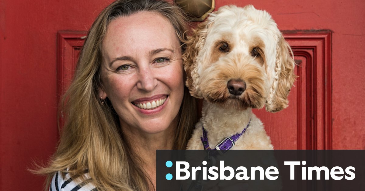 Navigating the return to office life (your dog, not you) - Vimarsana News