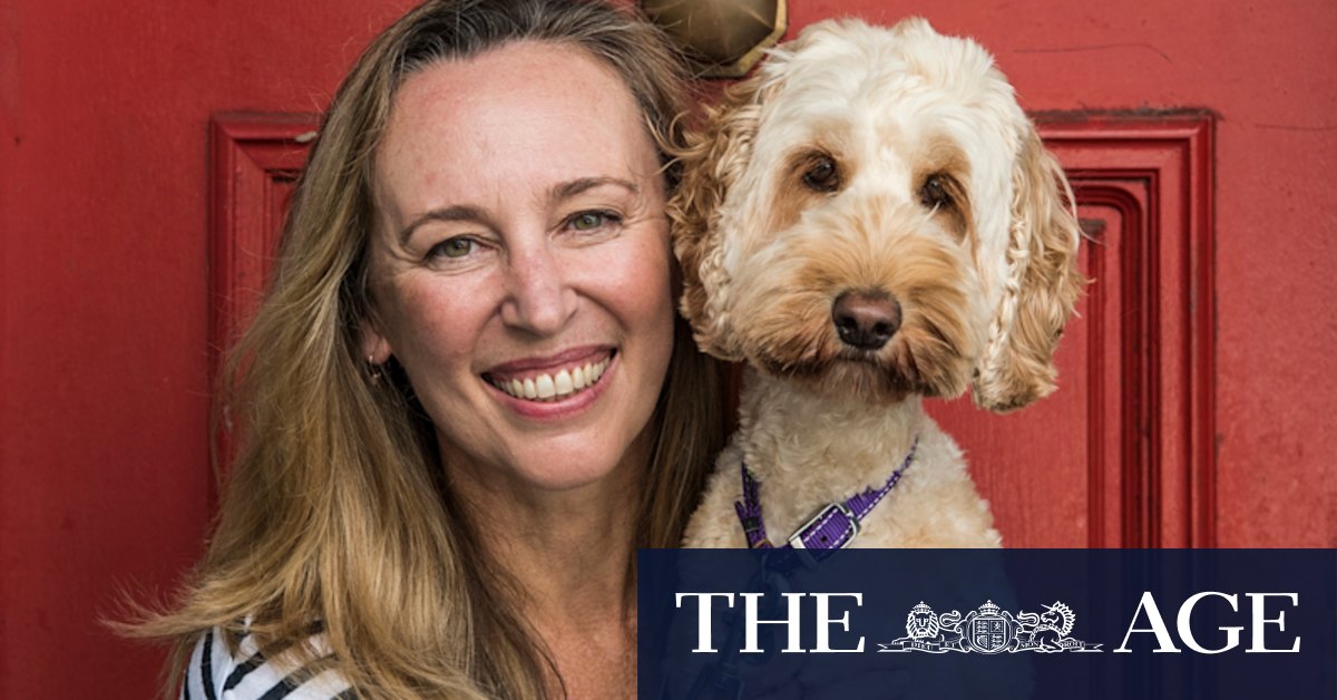 Navigating the return to office life (your dog, not you) - Vimarsana News