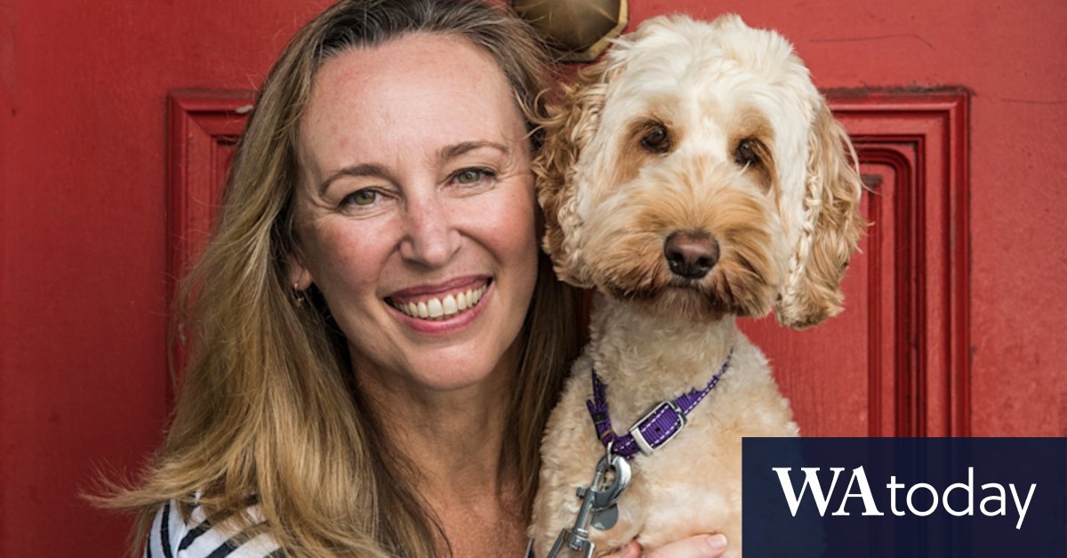 Navigating the return to office life (your dog, not you) - Vimarsana News