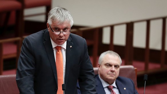 Centre Alliance senators Rex Patrick (left) and Stirling Griff during question time in the Senate last year. 