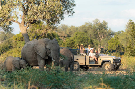 Up close with elephants.