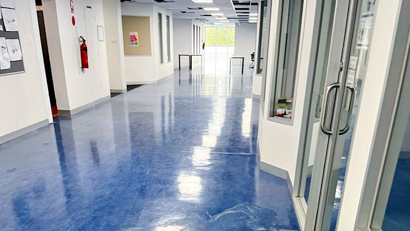 ‘Chunks large enough to kill’: Parents sound alarm on maintenance as school roof collapses