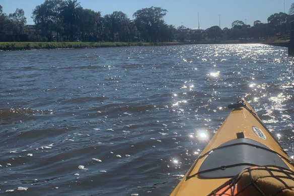 Kayaking on the Maribyrnong. 