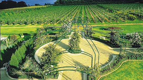 The vineyards at the Morning Star Estate, Mount Eliza.