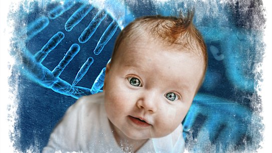 Una controvertida prueba de ADN permite a los pacientes de FIV seleccionar sus embriones en función de la probabilidad de que los futuros hijos desarrollen ciertas enfermedades o rasgos.