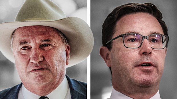 One Nation MP Barnaby Joyce and Nationals leader David Littleproud.