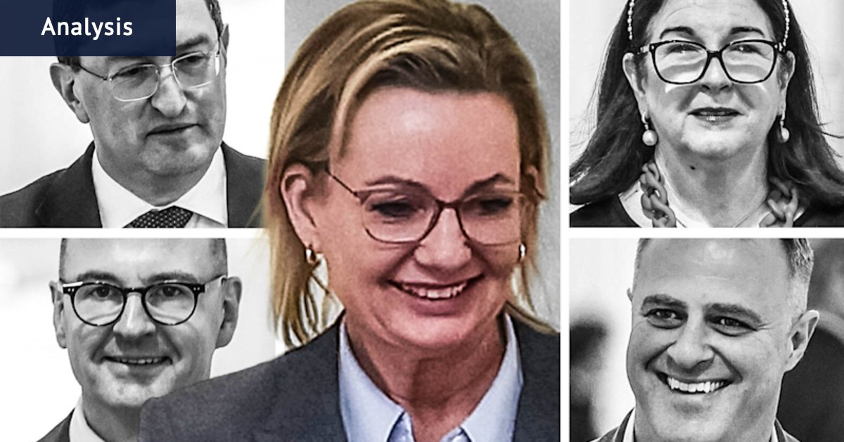 What is the point of moderates in the Liberal Party?