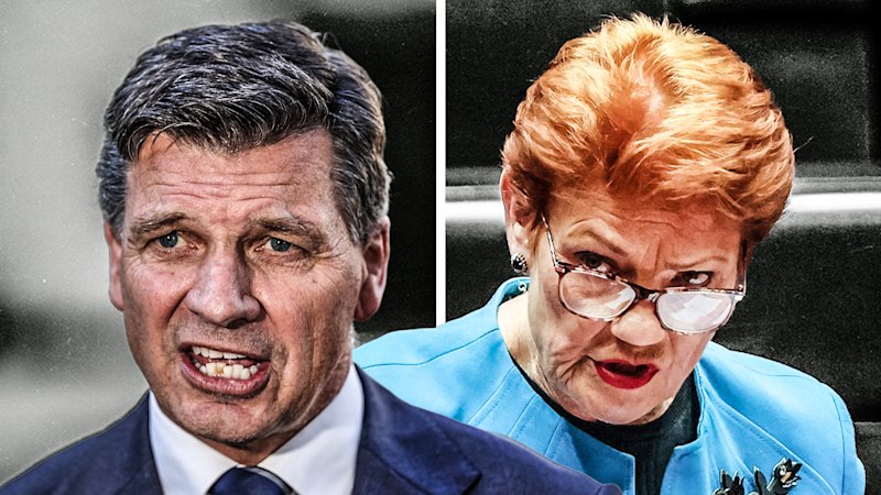 Angus Taylor delivers keynote attack on Pauline Hanson as Hanson appears on Tommy Robinson podcast