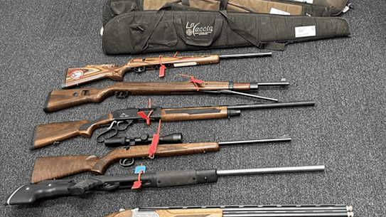 Guns seized in the operation.