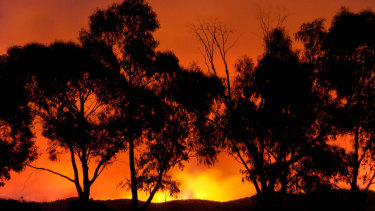 The fire at Chum Creek as seen from Healesville on Black Saturday.