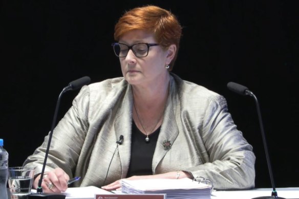 Liberal senator Marise Payne appearing before the robo-debt royal commission.