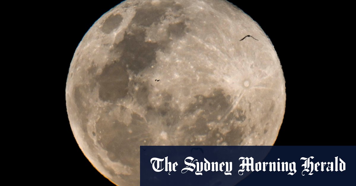 Biggest and brightest: The best time to be dazzled by the Beaver supermoon