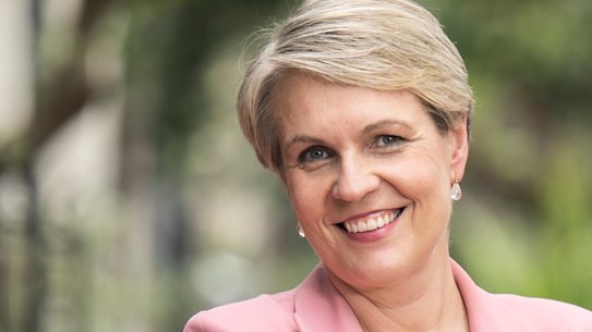Federal Environment and Water Minister Tanya Plibersek. 