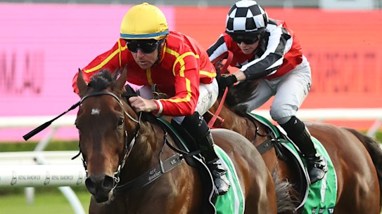 Transatlantic cruises to victory in the Five Diamonds Prelude under Tommy Berry at Randwick on October 25.