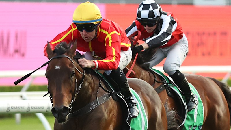 Gollan eyes Diamonds heist to lay platform for more Sydney riches