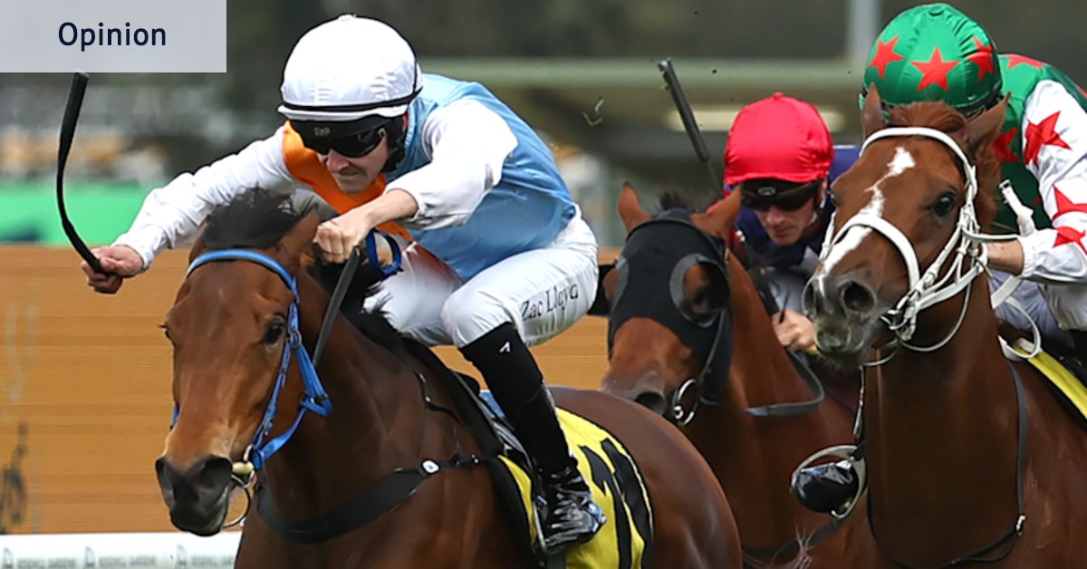 Proxima Dea might not have the looks, but she’s got the will to win Spring Champion