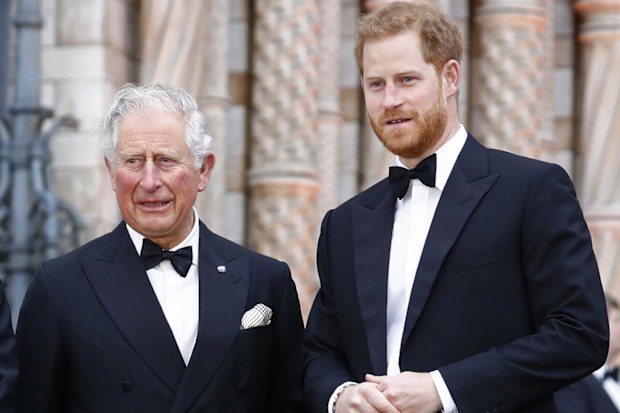 king charles prince harry relationship