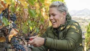 “I believe everything happens truly for a reason,” says Alecia Moore of her decision to buy a vineyard in Santa Barbara County.