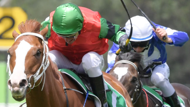 Hard to hold out: Moobi appears the one to beat in the Country Championships qualifier.