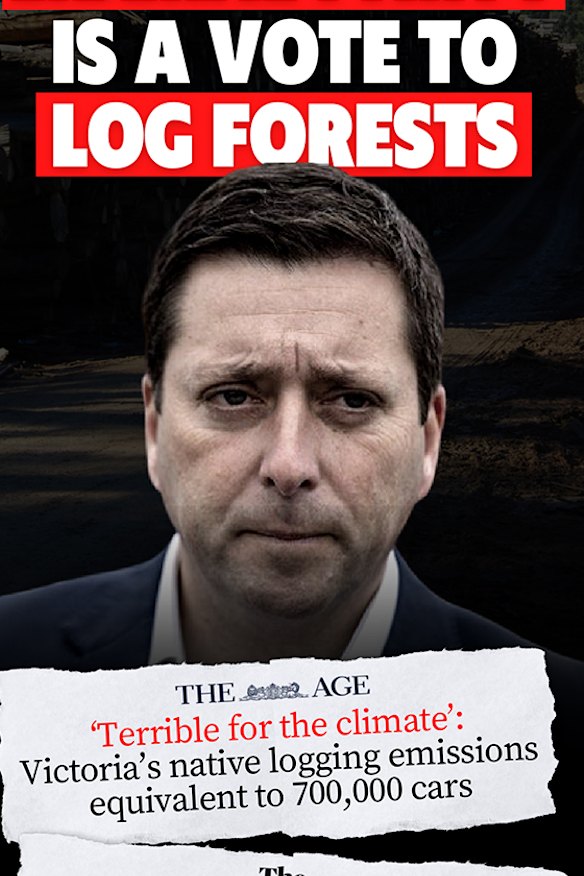 A flyer being letterboxed by teal campaigners in the state seat of Hawthorn.