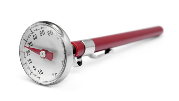 A meat thermometer is essential kitchen kit.