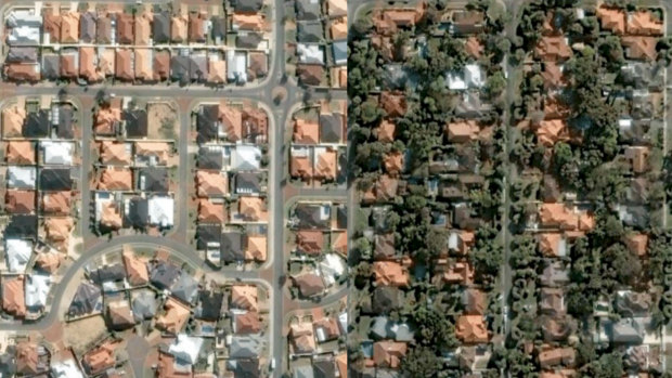 Homes in Perth's newer suburbs (left) have developed a 'tree-phobia' when compared to more affluent and leafy suburbs (right), Mr Ferreira claims. 