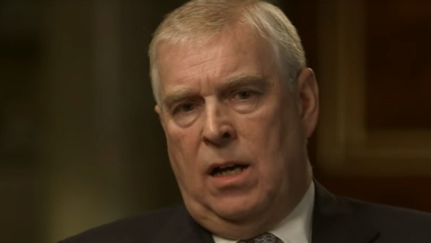 'A bit of a plonker': Prince Andrew during his fateful BBC interview.