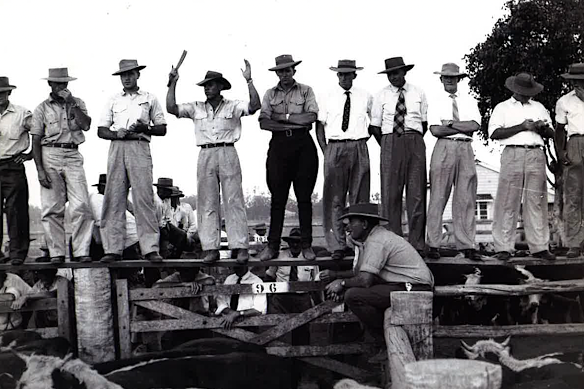 The chant of an auctioneer at an old-style cattle market in the 1960s