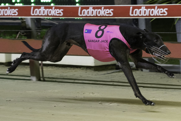Nangar Jack takes out the Million Dollar Chase Consolation but has tested positive to EPO.