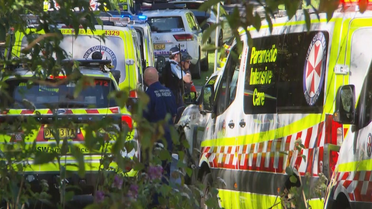 Child dead in Blue Mountains stabbing, two children and woman critical