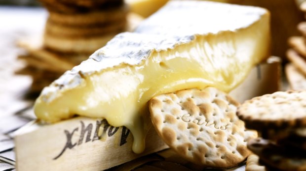 Are the world’s favourite oozy cheeses in danger of extinction?