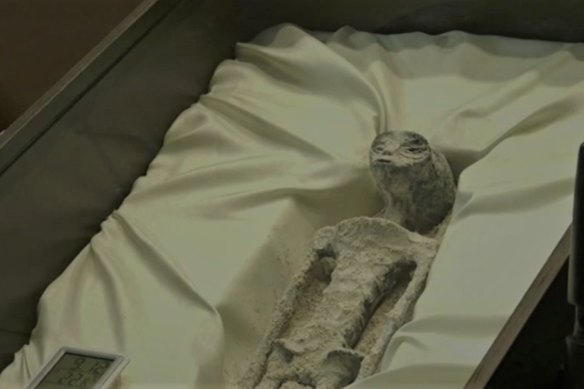 The “mummy” was presented in a coffin-like box, and came with accompanying scan results and other “data”.