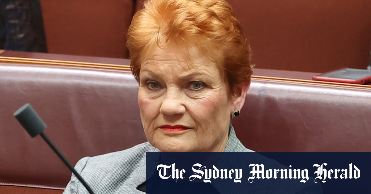 One Nation's bid to derail Senate inquiry into the ABC and SBS complaints mechanism - Vimarsana News